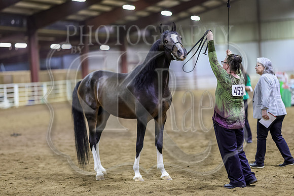 SASS-6863