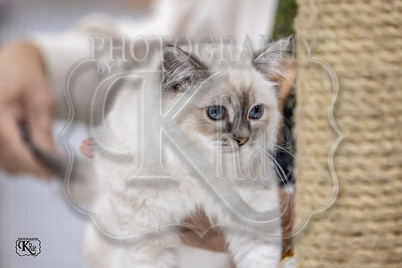 CFA_WLMGTN-0167