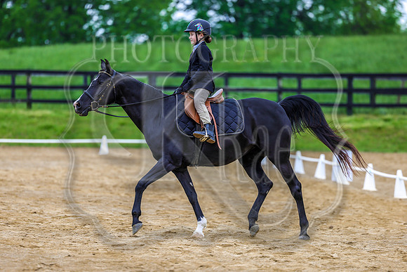 SASS-4441