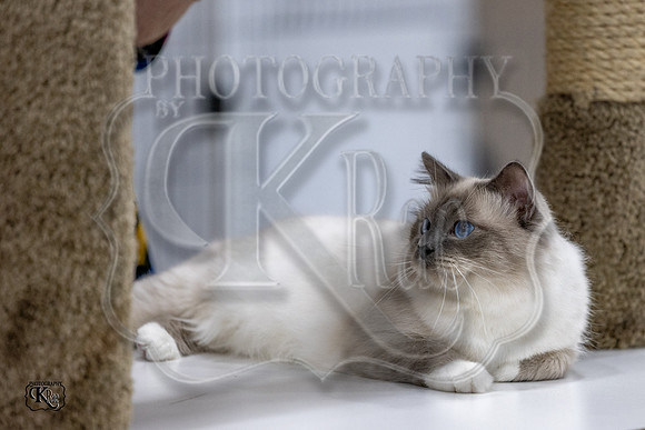 CFA_WLMGTN-0048