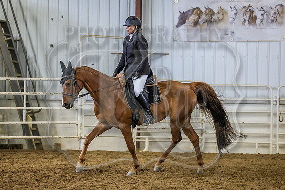 SASS-3910