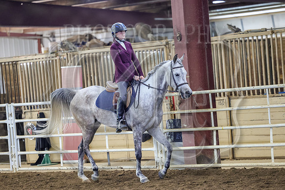 SASS-3241