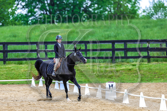 SASS-4428