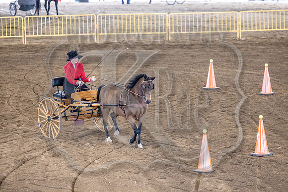 OSB_FallShow-0608