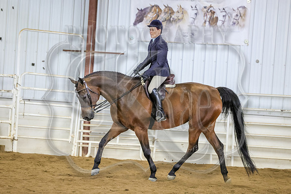 SASS-1200