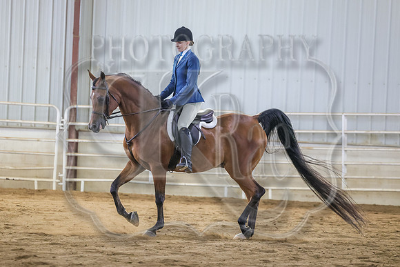 SASS-3746