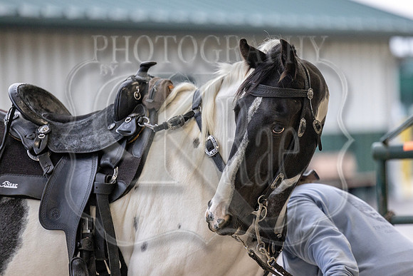 OSB_FallShow-0027