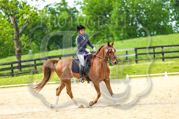 SASS-4004