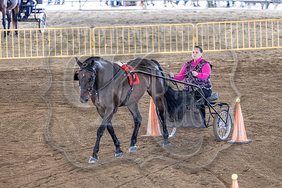 OSB_FallShow-0725