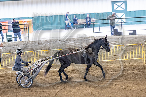 OSB_FallShow-0259