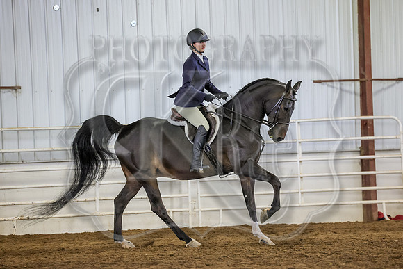 SASS-3353