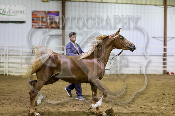 SASS-6771