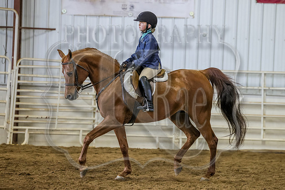 SASS-5087