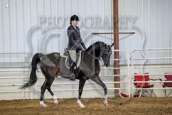 SASS-3454