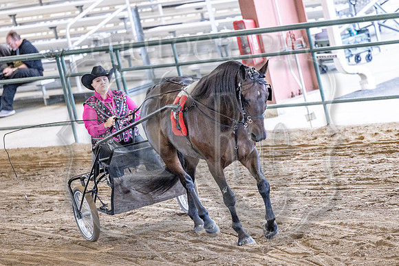 OSB_FallShow-0435