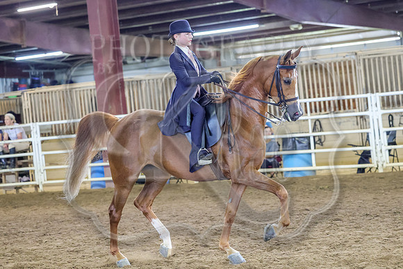 SASS-4306