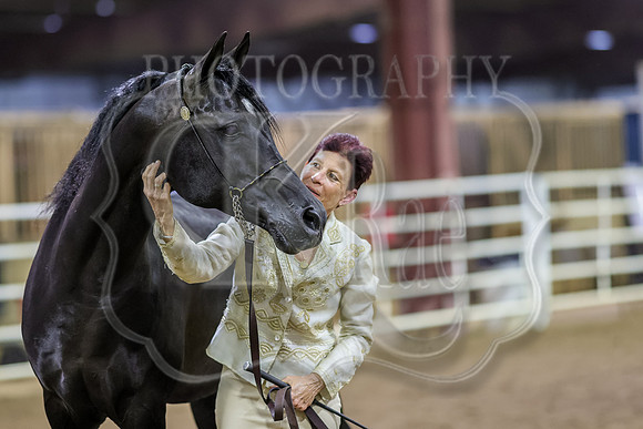 SASS-7293