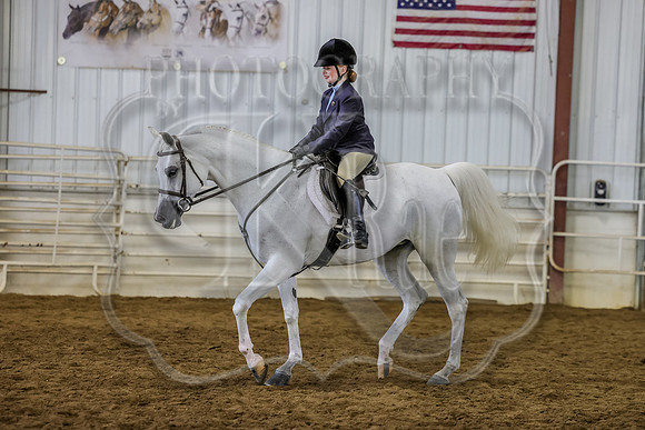 SASS-4096