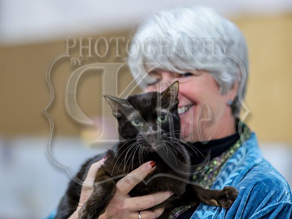 CatShowSat-0753