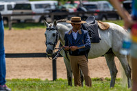 Lusitano