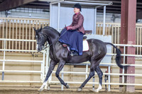 SahibaSa-8495