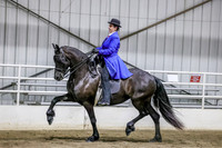 sssSun-1865
