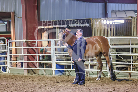 BN5A6887