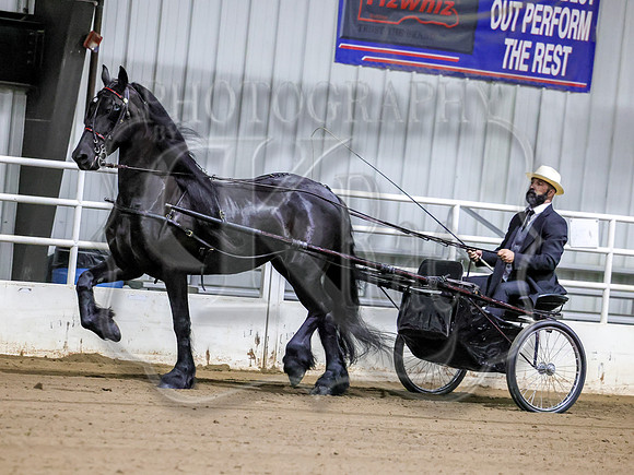 sssSun-0074