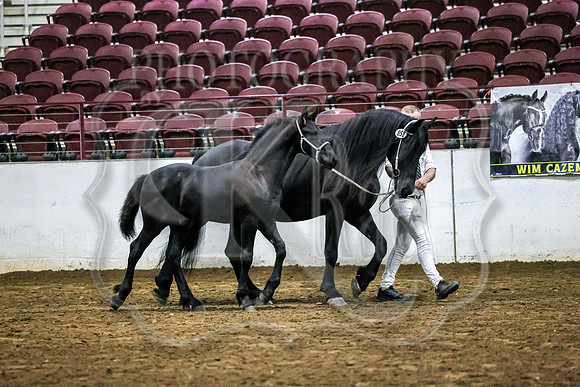 BN5A4644