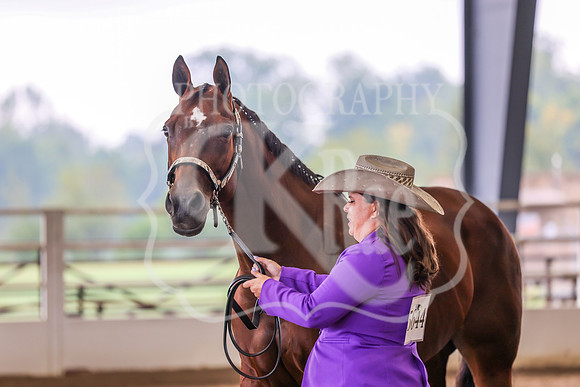 BN5A0141