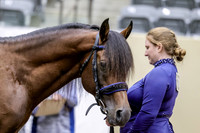 LgcySu-3832