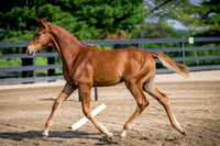 HI23-0151