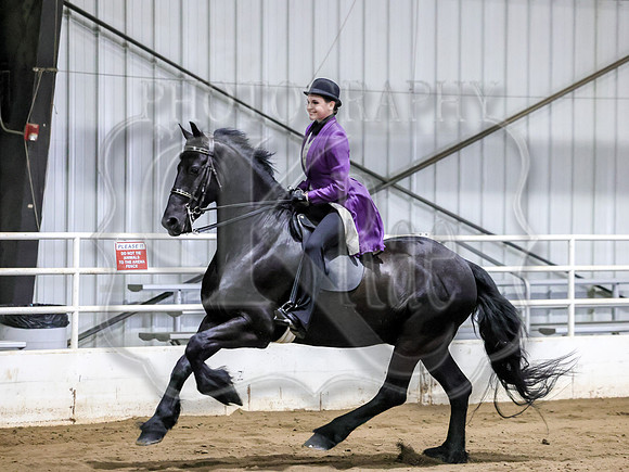 ssssat-4413