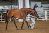 BN5A8500