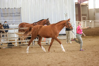 BN5A0961