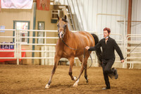 BN5A2751