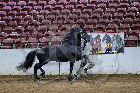 BN5A4721
