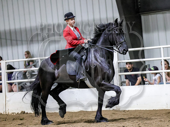 ssssat-3008