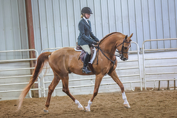 BN5A1033