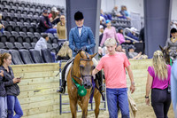 KRaeR13F-0490