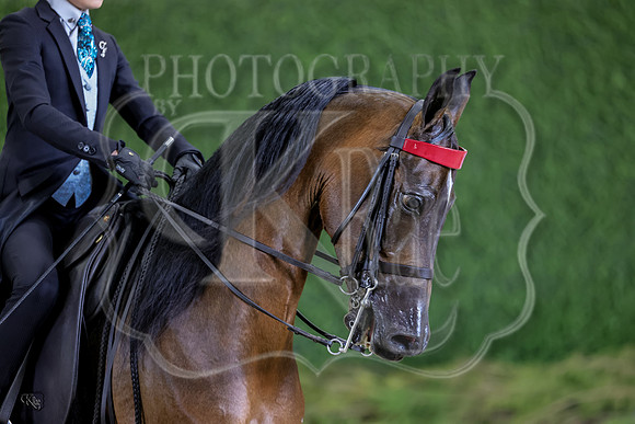 KRaeR13-0327