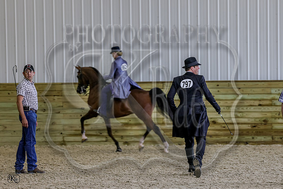 KRaeR13-0419