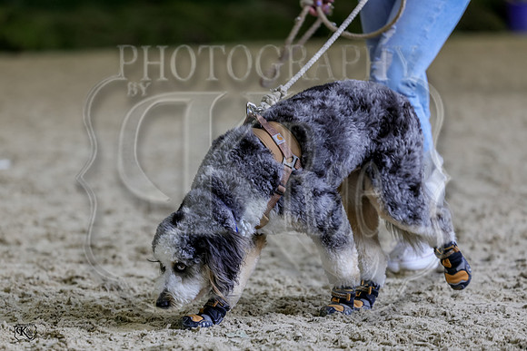 KRaeR13-0434