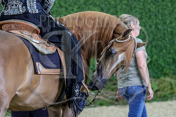 KRaeR13-0486