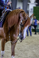 KRaeR13-0519