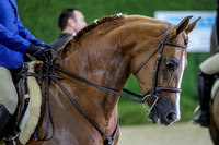 KRaeR13-0809