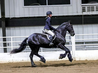 sssSun-0575