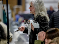 CatShowSat-0109