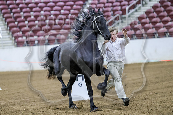 BN5A3270