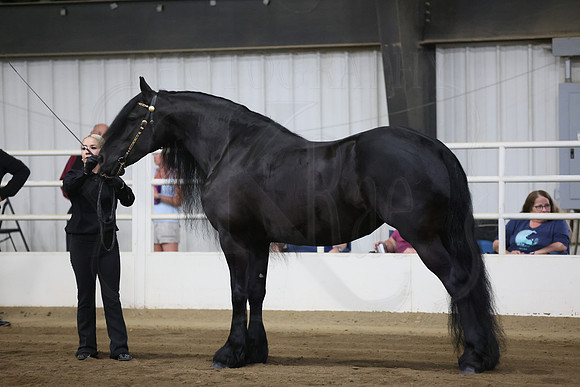 BN5A3658